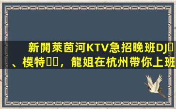 新開萊茵河KTV急招晚班DJ、模特，龍姐在杭州帶你上班